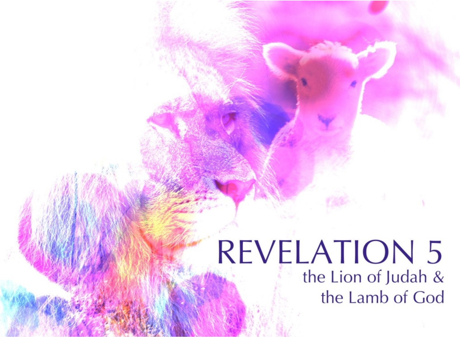are behold the lamb publications a cult