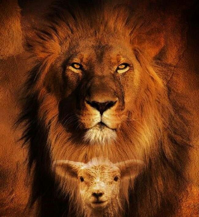 Worthy Is The Lamb
